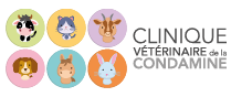 Clinique Vétérinaire de la Condamine